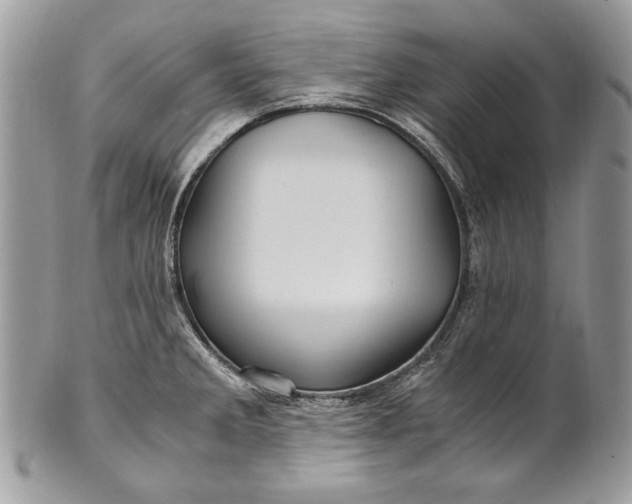 X0000100861285200807070924