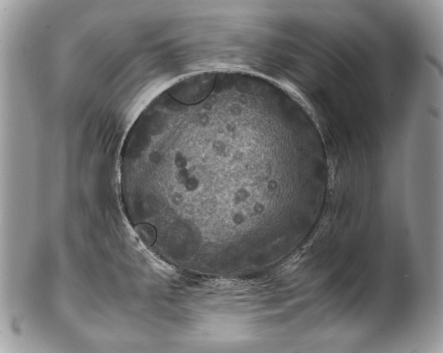 X0000100861287200807070924