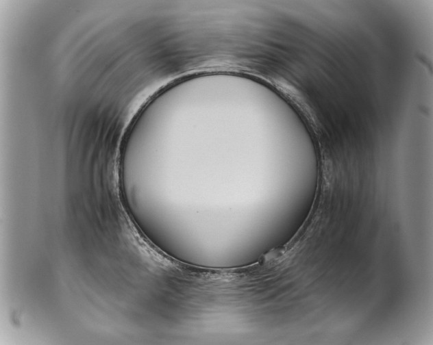 X0000100861288200807070924