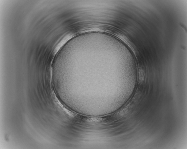 X0000100861290200807070924