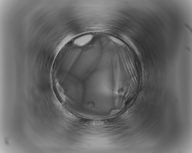 X0000100861291200807070924