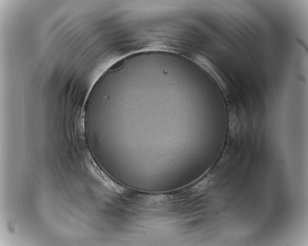 X0000100861292200807070924