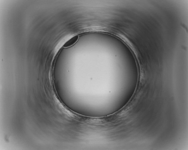 X0000100861293200807070924