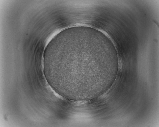 X0000100861294200807070924