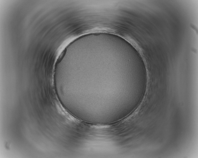 X0000100861296200807070924