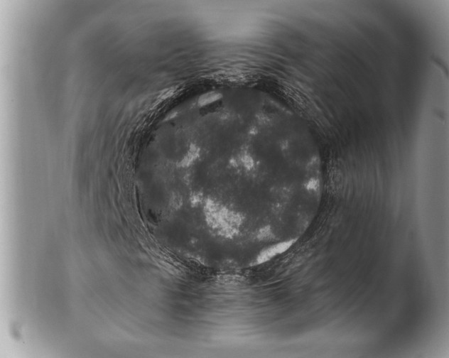 X0000100861297200807070923