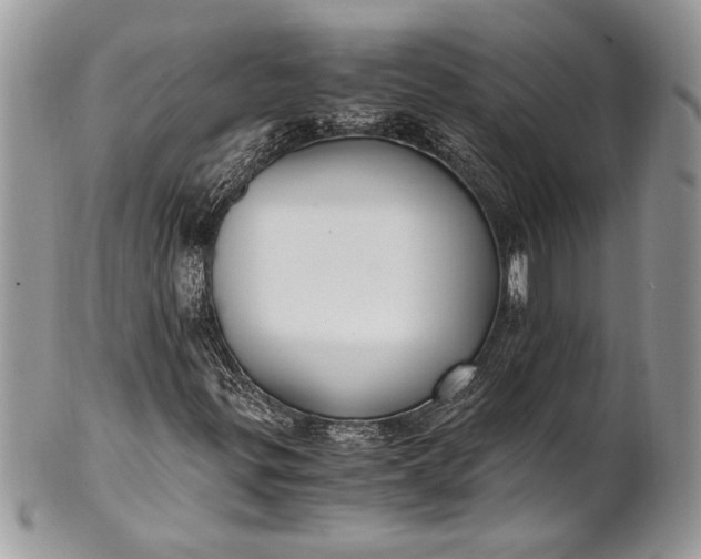 X0000100861299200807070923