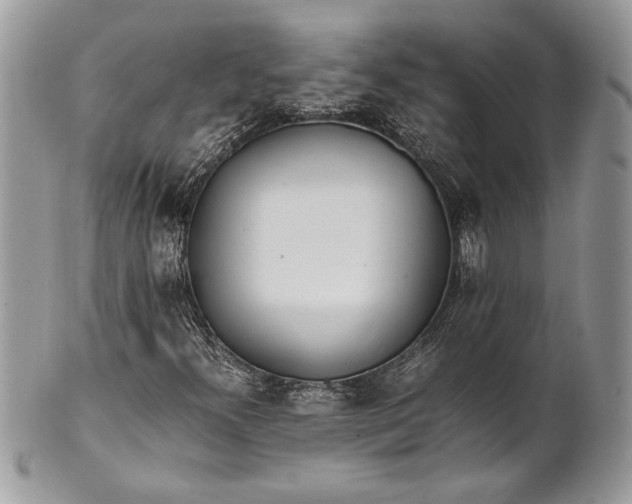 X0000100861300200807070923