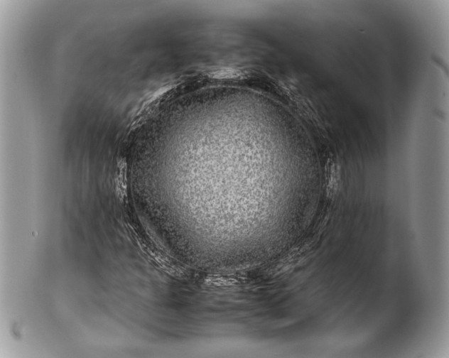 X0000100861301200807070923