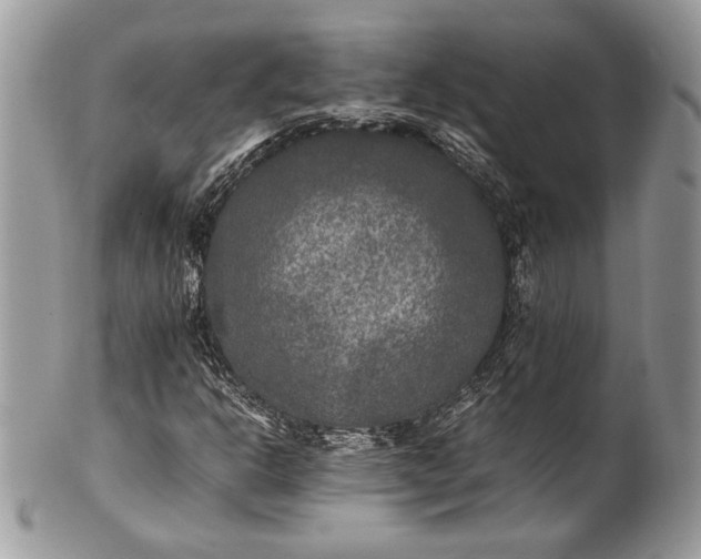 X0000100861302200807070923