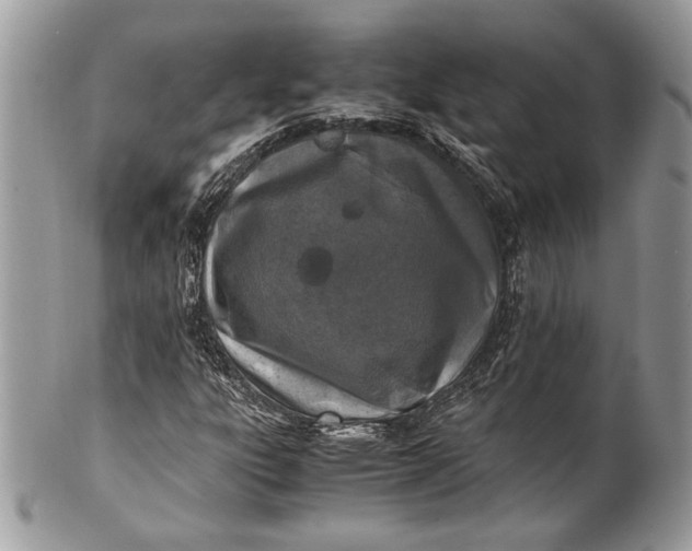 X0000100861303200807070923