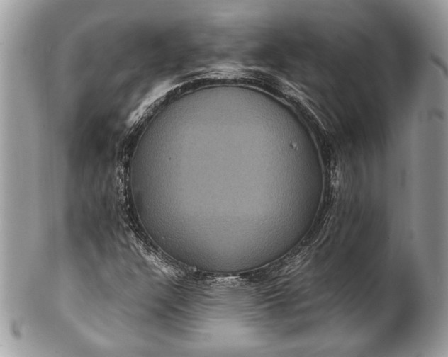 X0000100861304200807070923