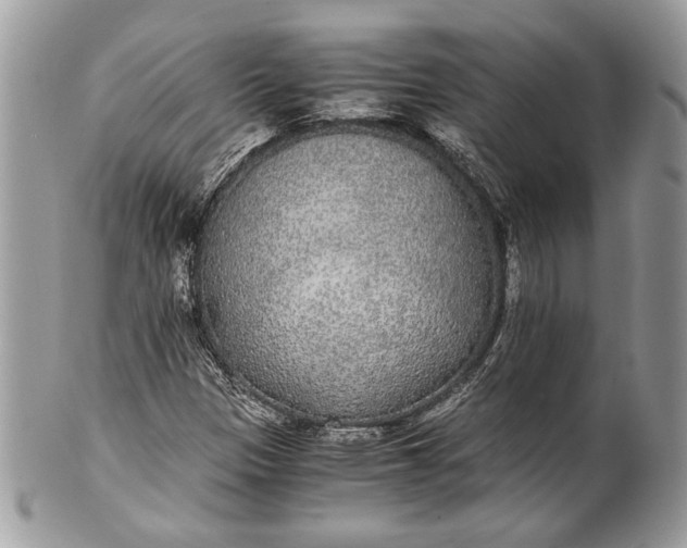 X0000100861305200807070923