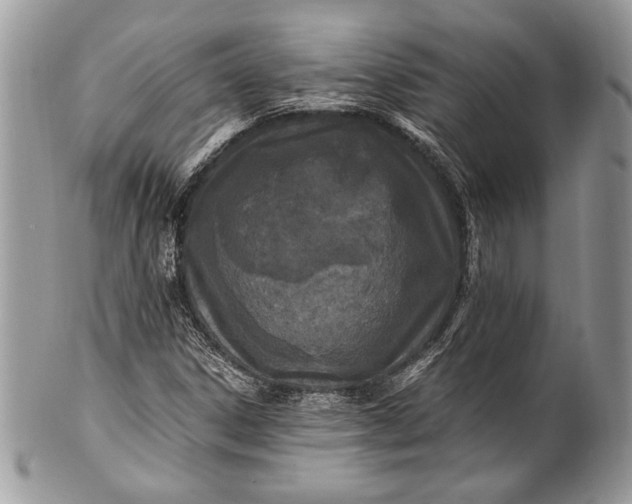 X0000100861306200807070923