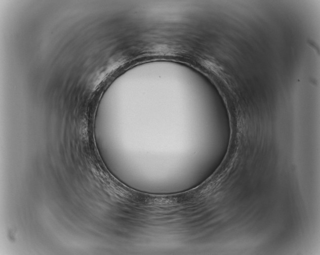 X0000100861307200807070923