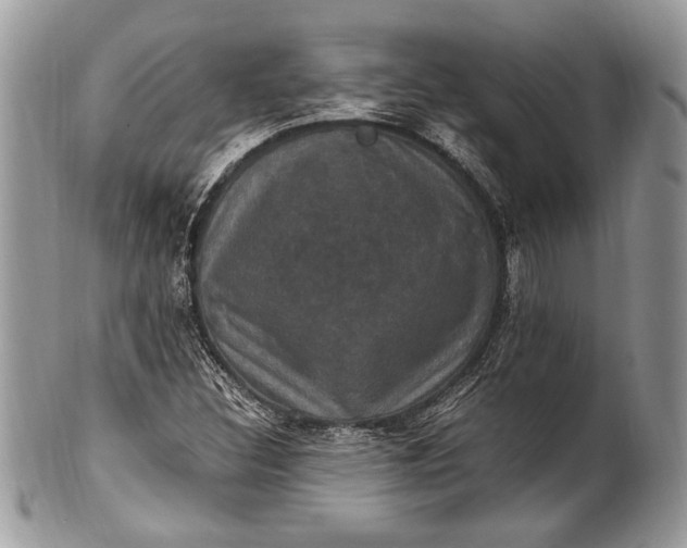 X0000100861308200807070923