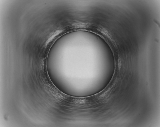 X0000100861309200807070923