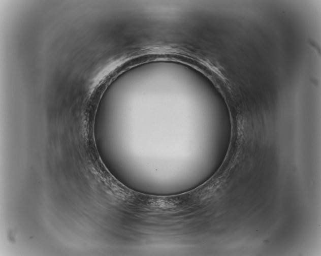 X0000100861311200807070923