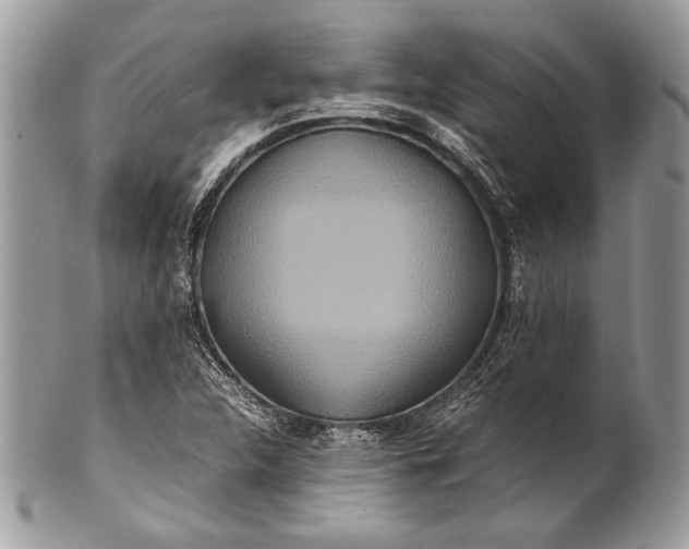 X0000100861312200807070923