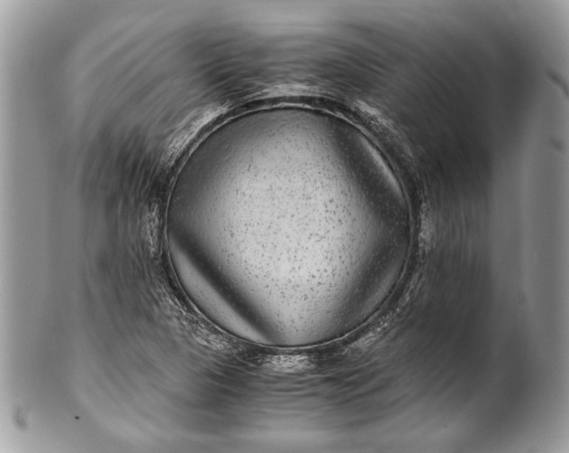 X0000100861313200807070923