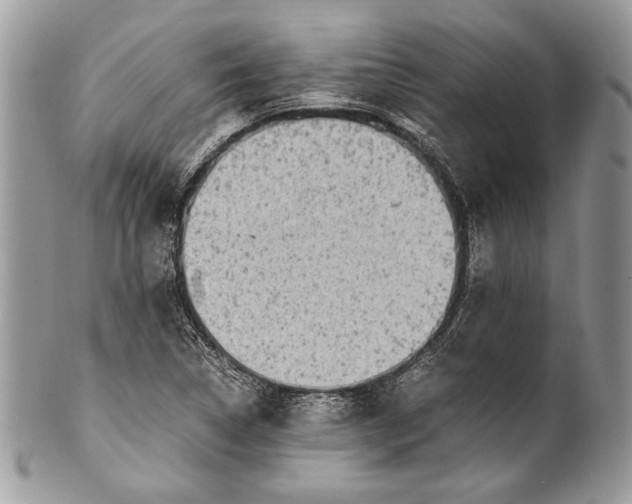 X0000100861314200807070924