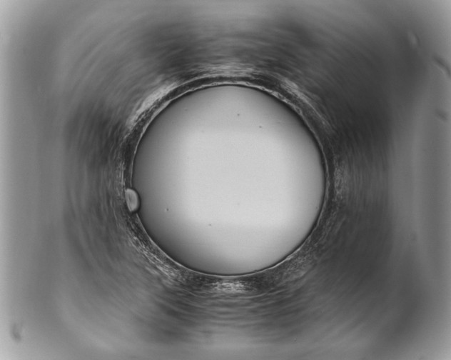 X0000100861315200807070924