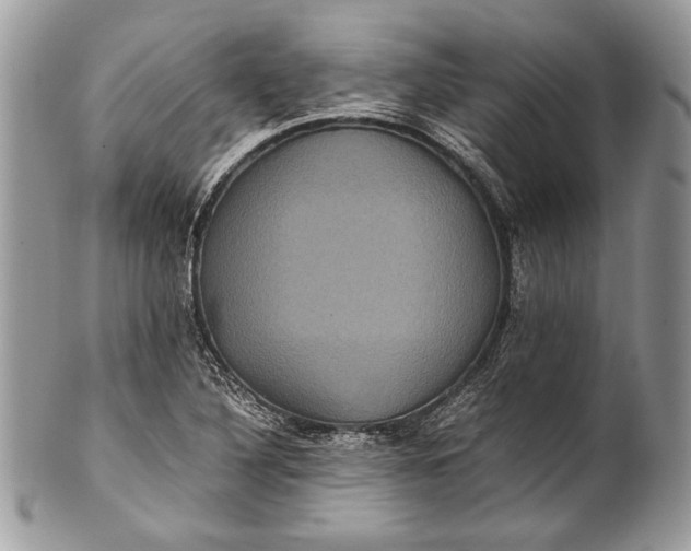 X0000100861316200807070924