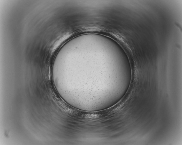 X0000100861317200807070924