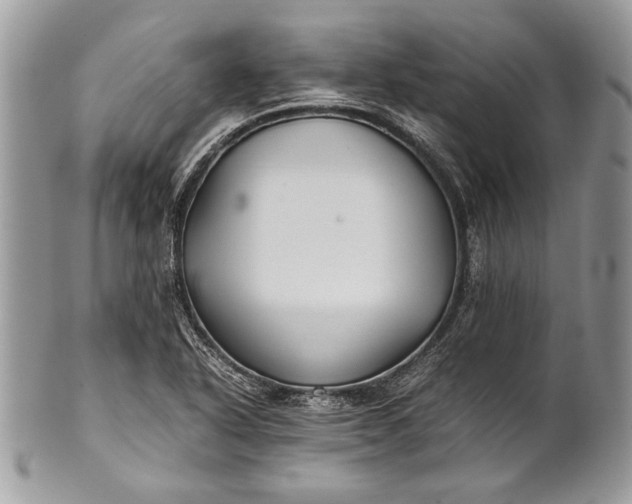 X0000100861318200807070924