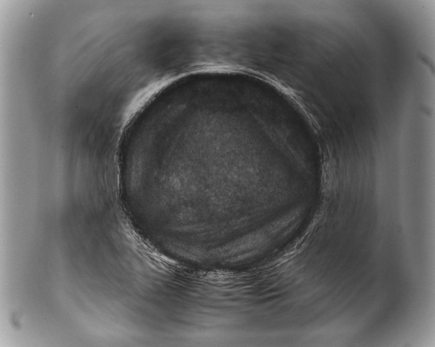 X0000100861319200807070924