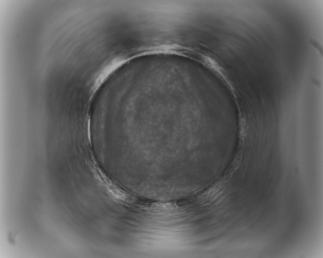 X0000100861320200807070924