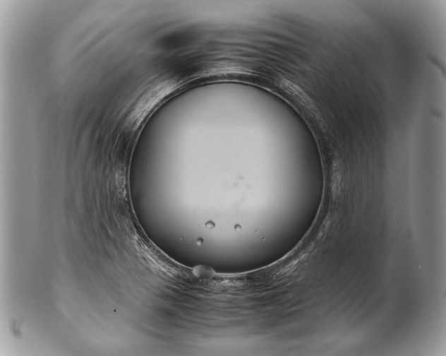 X0000100861321200807070924