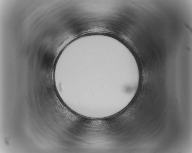 X0000100861322200807070924