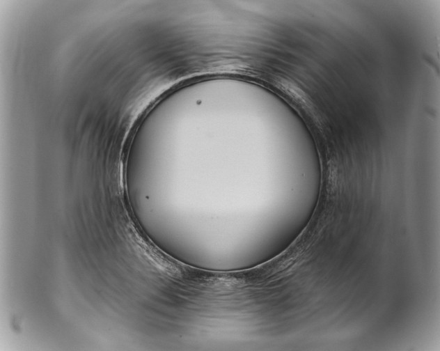 X0000100861324200807070924