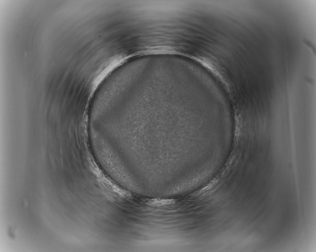 X0000100861325200807070924