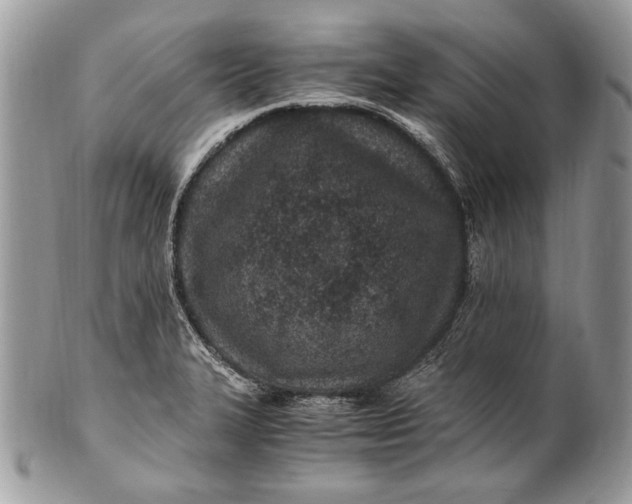 X0000100861327200807070924