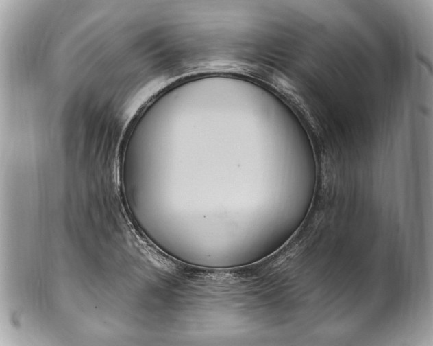 X0000100861328200807070924