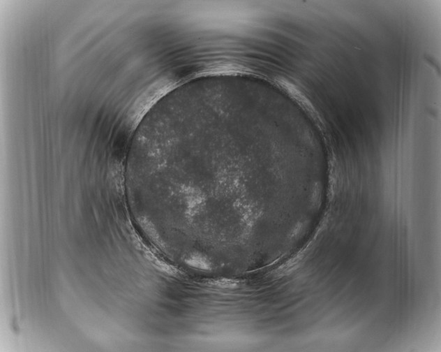 X0000100861329200807070924