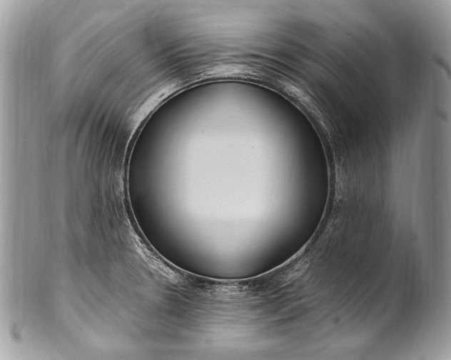 X0000100861330200807070924