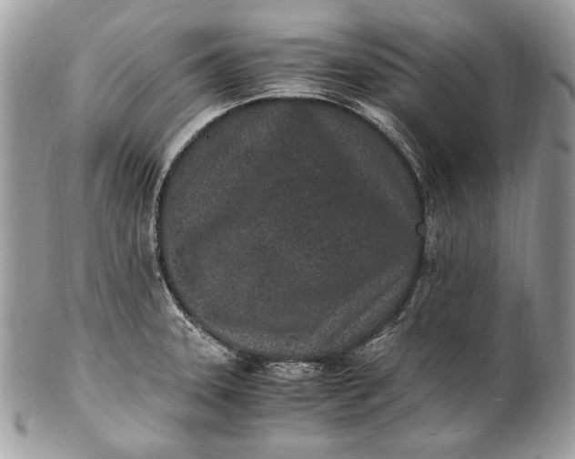 X0000100861331200807070924