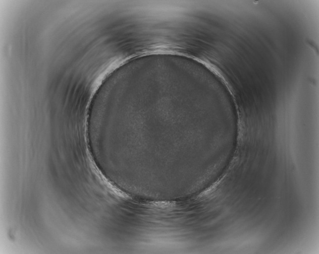 X0000100861333200807070924