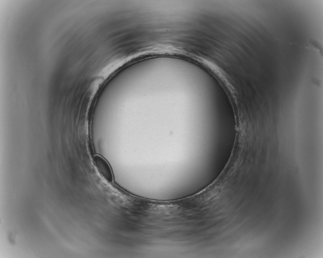 X0000100861335200807070924