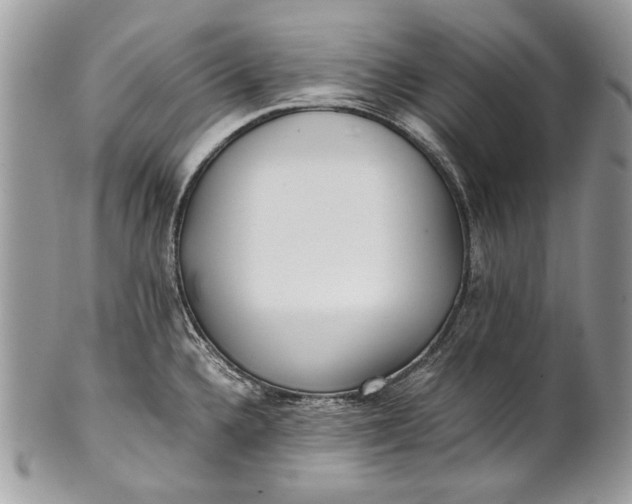 X0000100861336200807070924