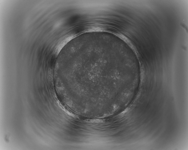 X0000100861337200807070924