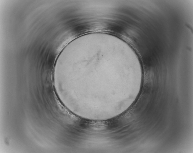 X0000100861338200807070924