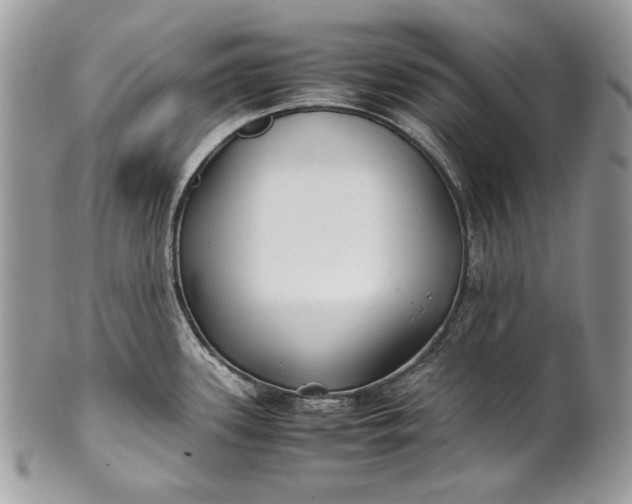 X0000100861339200807070924