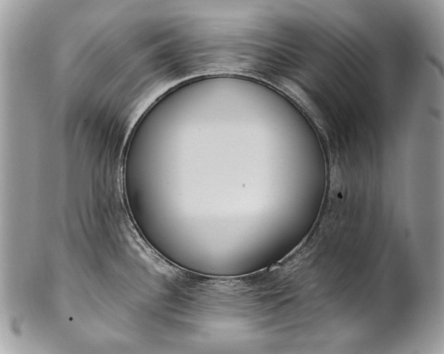 X0000100861340200807070924