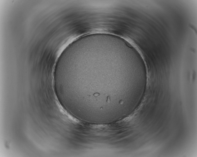 X0000100861341200807070924