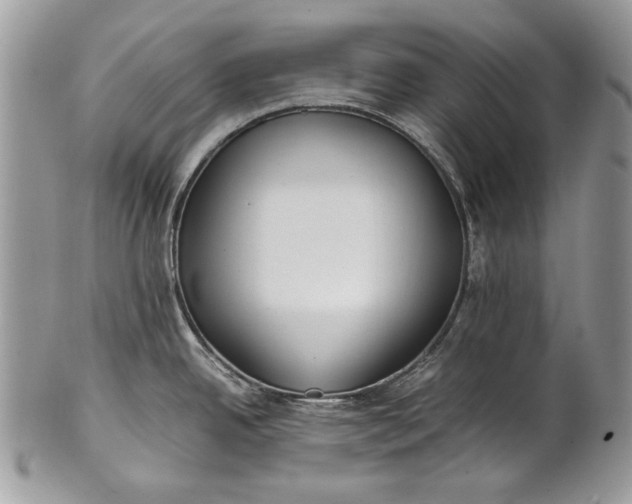 X0000100861342200807070924