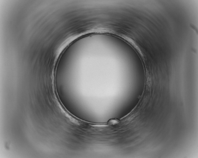 X0000100861343200807070924